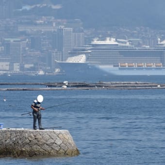 クァンタム・オブ・ザ・シーズ！広島初入港！！