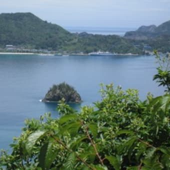 父島亜熱帯植物センター（５）　そしてやっと展望台からの眺望