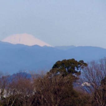 西浦温泉付近からの富士山