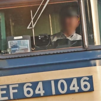 １９日は複数の国鉄型車両を撮影