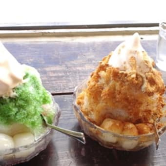 沖縄の旅