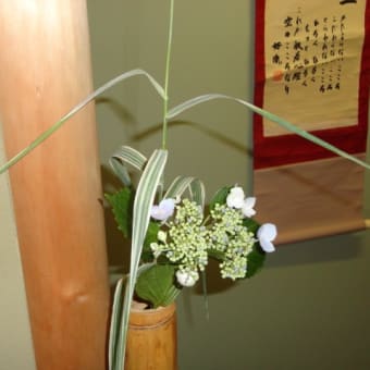 こども茶道教室第2回