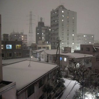 NEVE！（雪だ！）