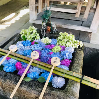 藤森神社の手水☆