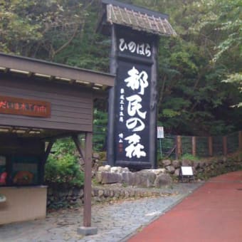 ただいま・・・