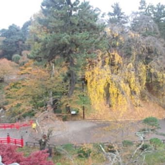 能代、五所川原、弘前の旅