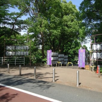 水元公園、はなしょうぶ園