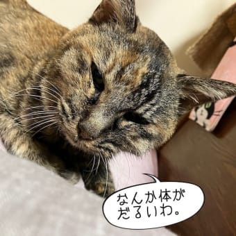 だるい・・・。
