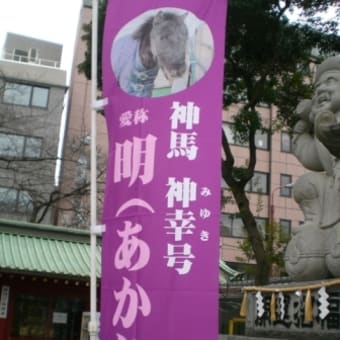 江戸城の北側巡り。御茶ノ水～神楽坂へ