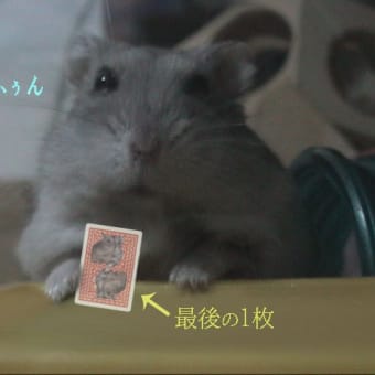 「ダウトがかかっている」って？
