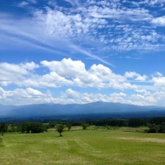 高島光のおすすめスポット。