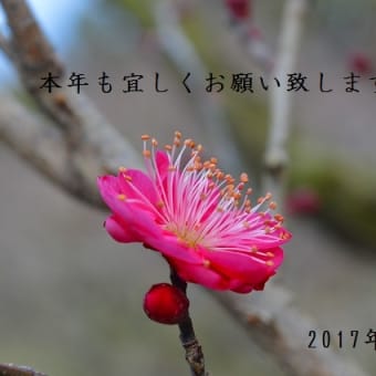 お正月の栗林公園