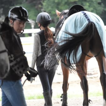 馬との会話