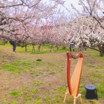 活動準備♪