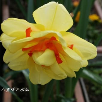 久々の休日の晴れ間・・
