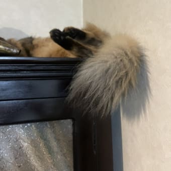 お気に入りの場所で