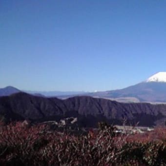 富士山に願い事。