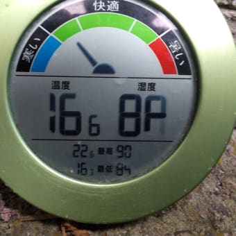 令和7年6月25日・今朝の東祖谷
