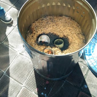 日韓陶芸交流展開催中