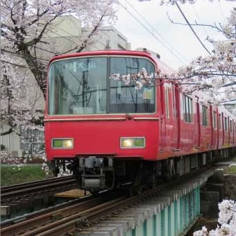 境川の桜と電車