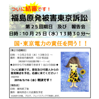 いよいよ結審！１０月２５日午後１時３０分、東京地裁１０３号法廷へ！