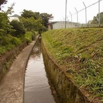 この時期　学校での仕事は草刈り。趣味の釣りは一服。