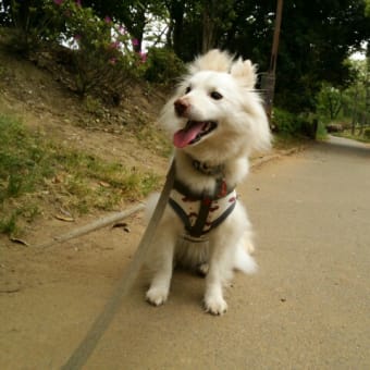 香澄公園にて