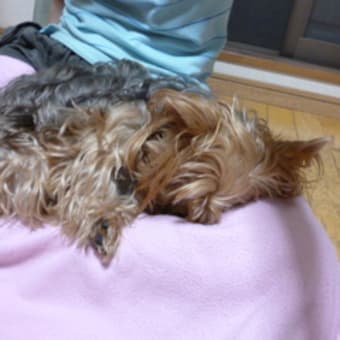大船に乗った気持ち