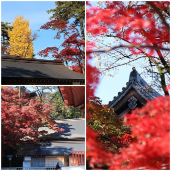 高幡山金剛寺