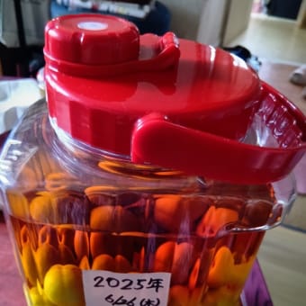 アルツGさん的雑想ノート