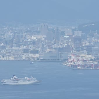 客船のみで一日が終わる予定だったのですが、、、（花火も、、、）（笑）