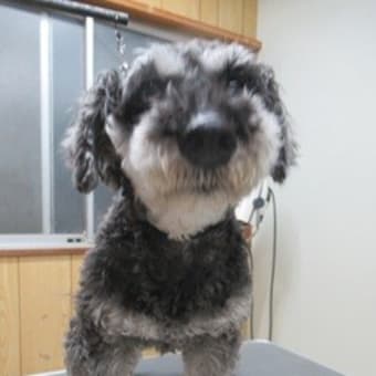 ちょっと憂鬱な雨の土曜日でした！