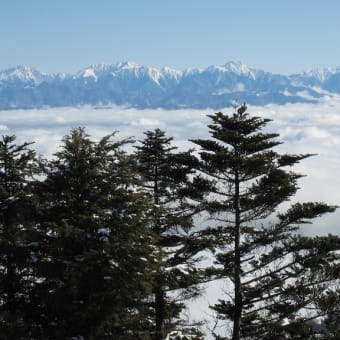１月の大川入山