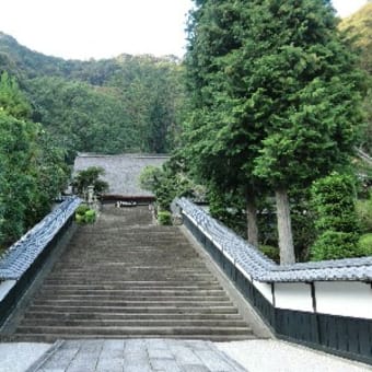 鎌倉の近国を歩く18　駿府の臨済寺
