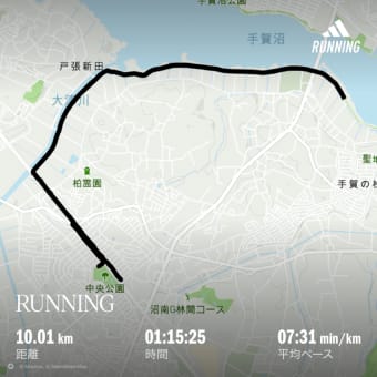 ネギ定植で過負荷
