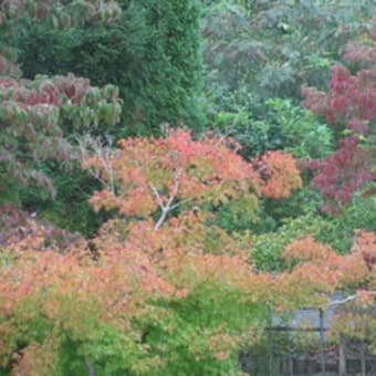 🌟２０１５年９月２５日　お気に入りの場所から＞その１