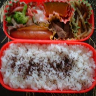 11月4日のお弁当♪