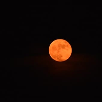 今夜は満月、、、