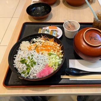 #9425 とびっちょの釜揚げしらす丼😋