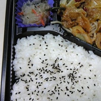 今月の弁当一気見