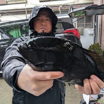 南伊豆 下流 今日の釣果