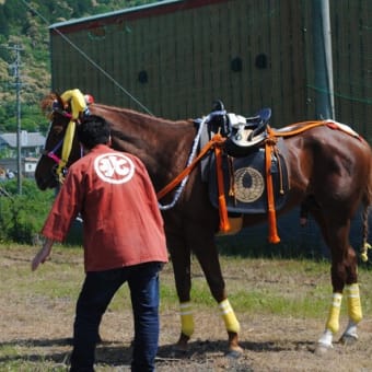 上げ馬神事に2度目の改善勧告