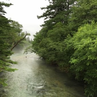 上高地に着きました！