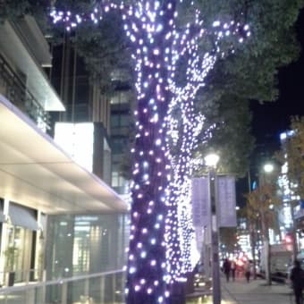 ダイエット再　３８８日目（１１月１５日）火＠運動