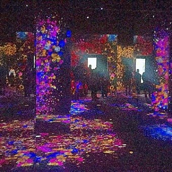 TeamLab〜Part1〜(2019年12月)