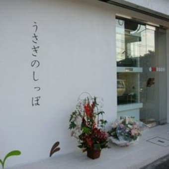 うさぎのしっぽ横浜店