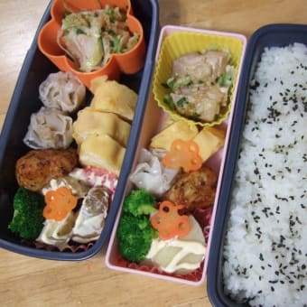日々のお弁当３