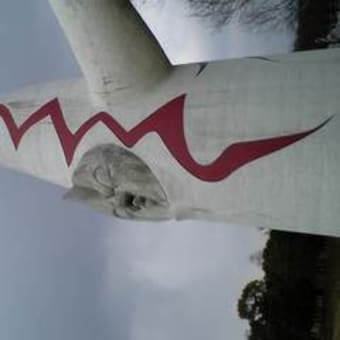 雨の降りそうな万博公園にて