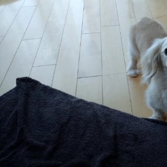 おかげさま早起き習慣