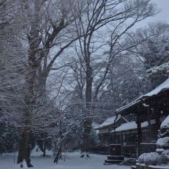 1408 立春の雪